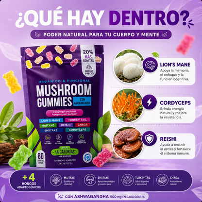 MushCalm™ | Ashwagandha | Enfoque y claridad mental