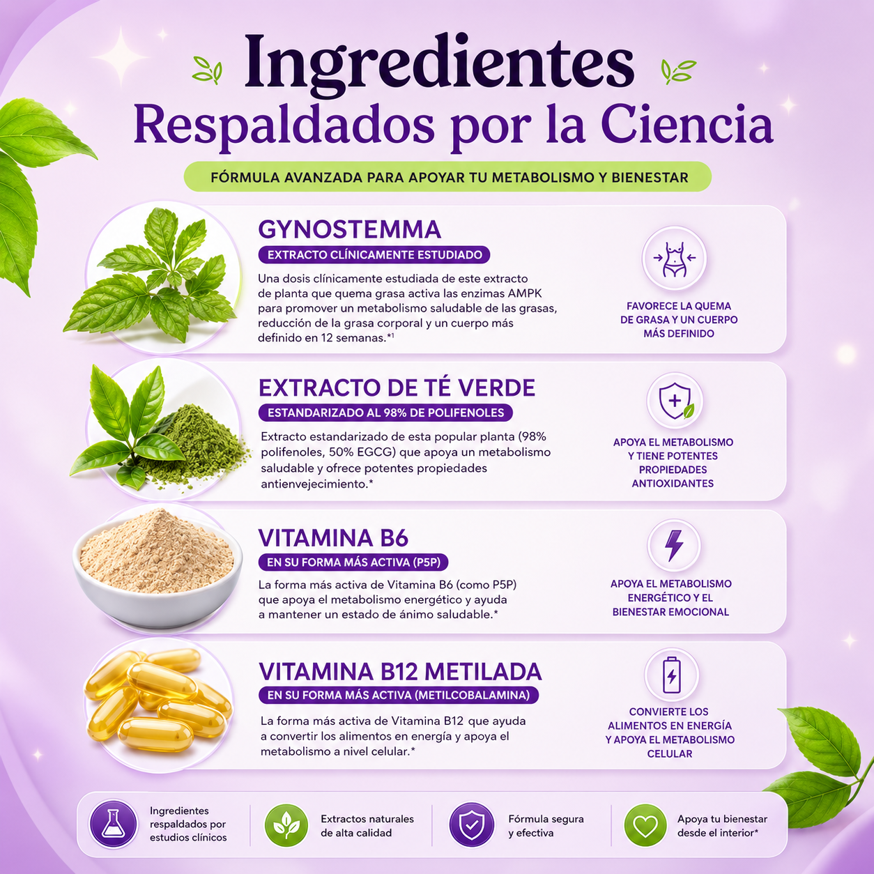 Lemme Burn™ | Quema Grasa | Adelgaza en 60 DIas