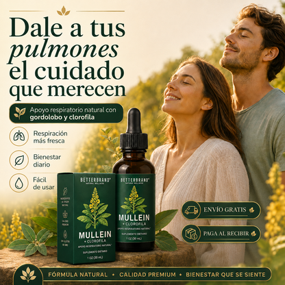 Mullein | Gotas Extracto De Gordolobo | Limpieza Pulmones