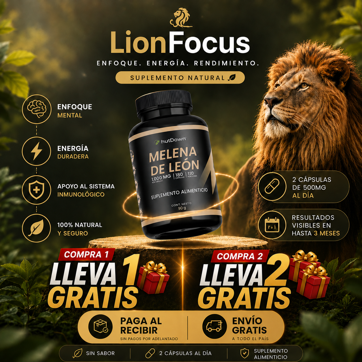 LionFocus™ | Suplemento MDL | Enfoque mental